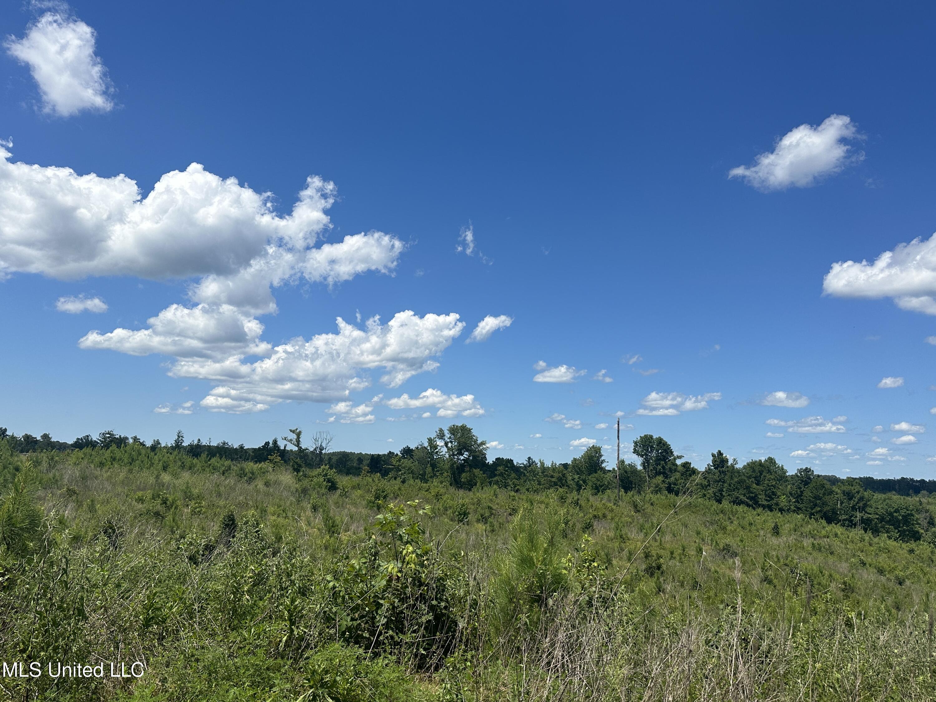 75 Co Road Cruger, MS 38924 - Photo 41 of 51 IMG_3981