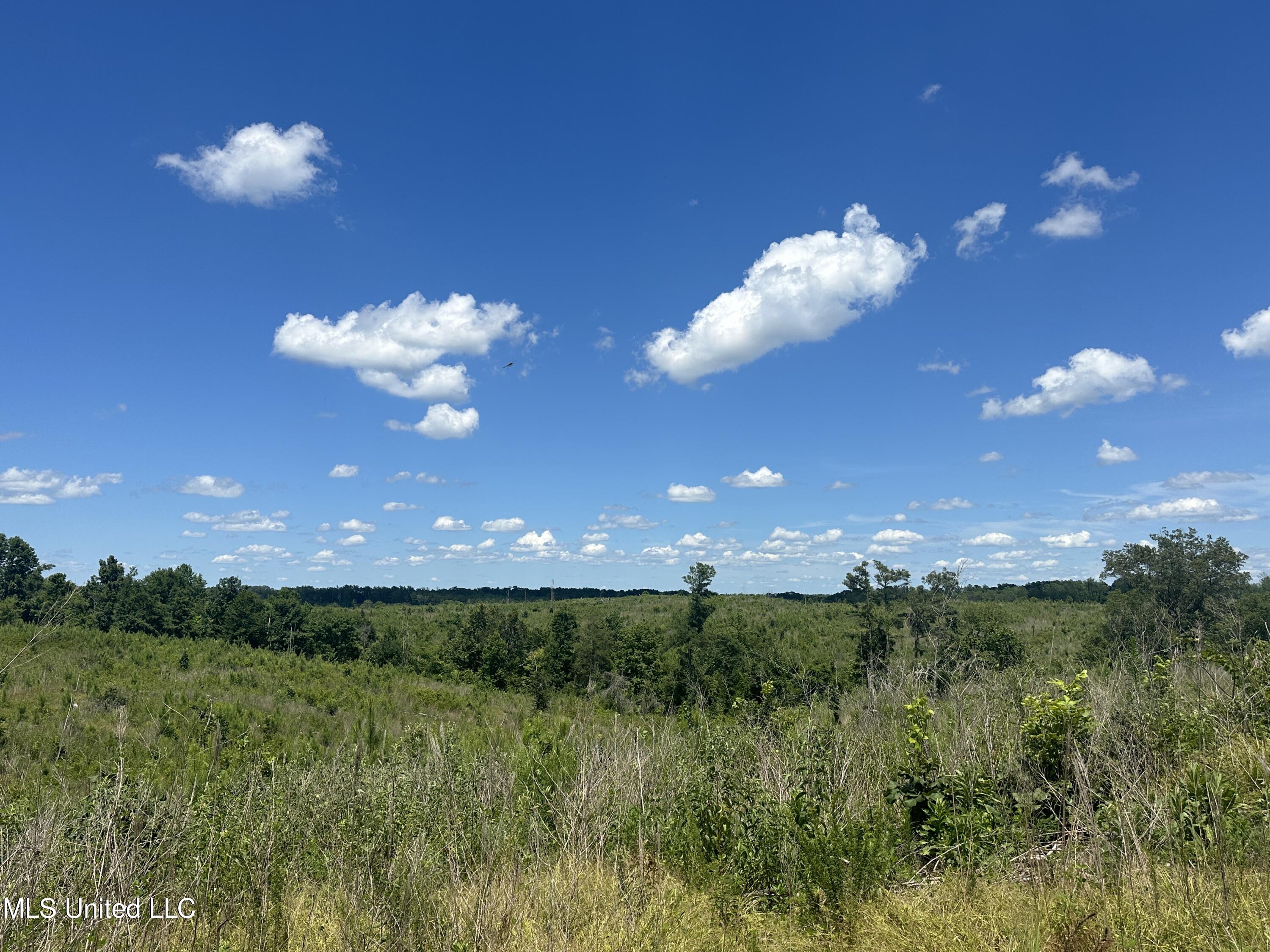 75 Co Road Cruger, MS 38924 - Photo 42 of 51 IMG_3982