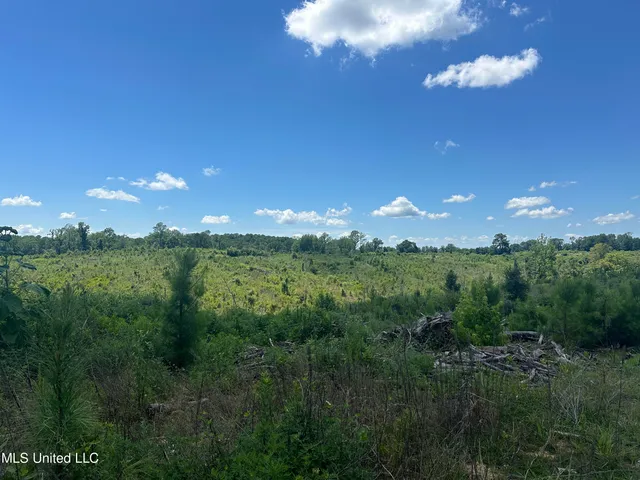 $1,015,250 | 75 Co Road, Cruger, MS 38924