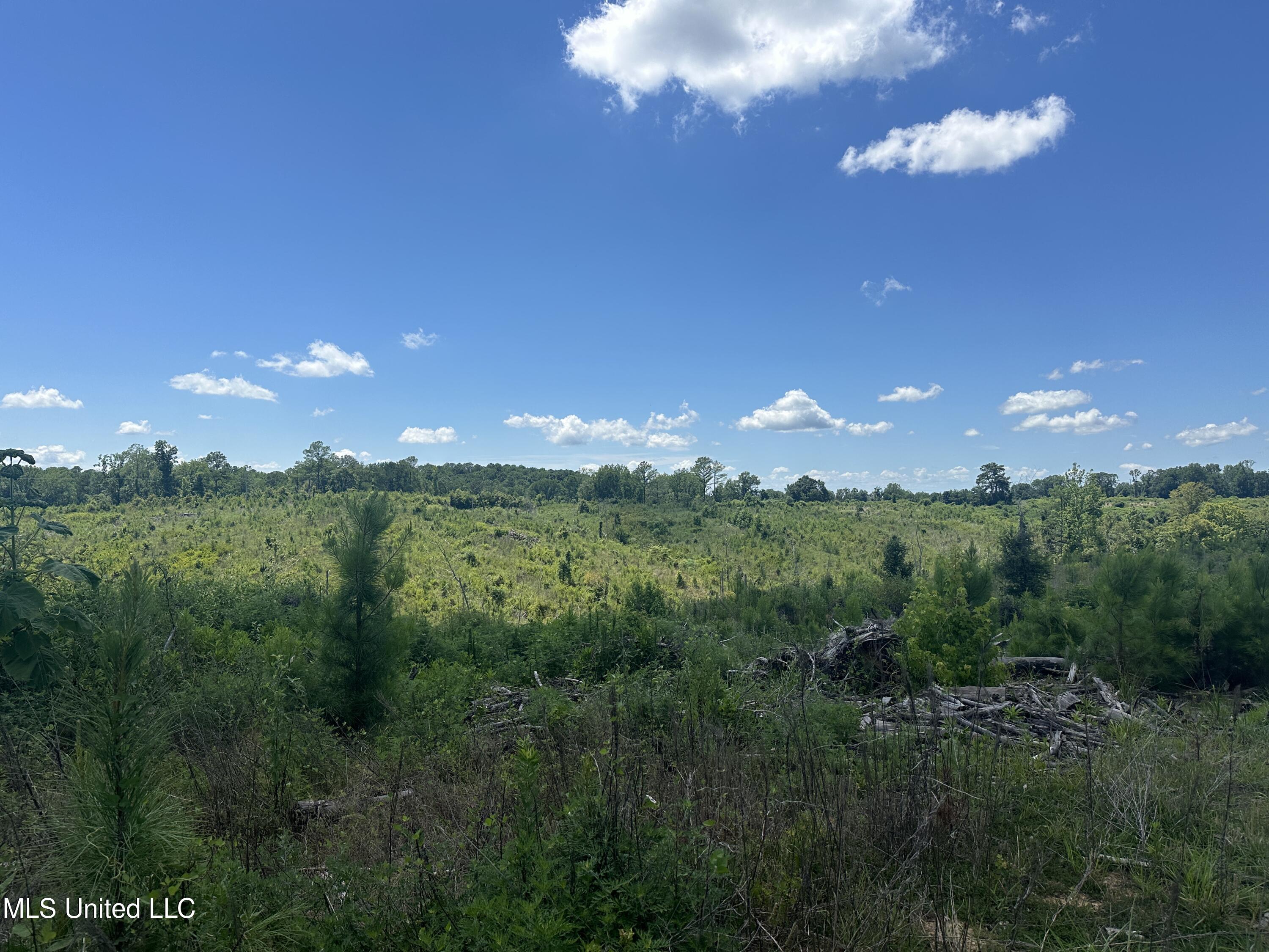 75 Co Road Cruger, MS 38924 - Photo 43 of 51 IMG_3983