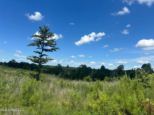 $1,015,250 | 75 Co Road, Cruger, MS 38924