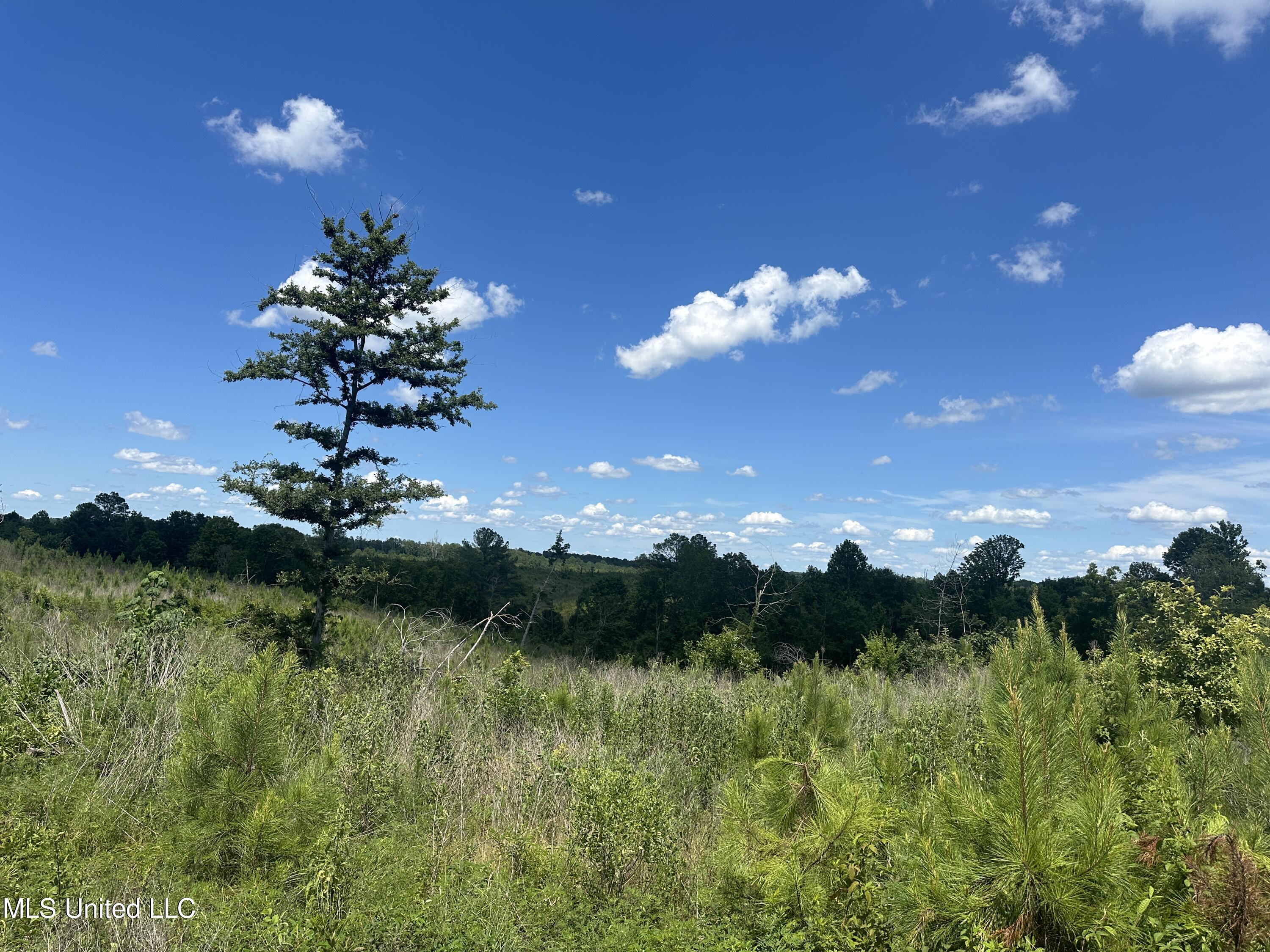 75 Co Road Cruger, MS 38924 - Photo 44 of 51 IMG_3985