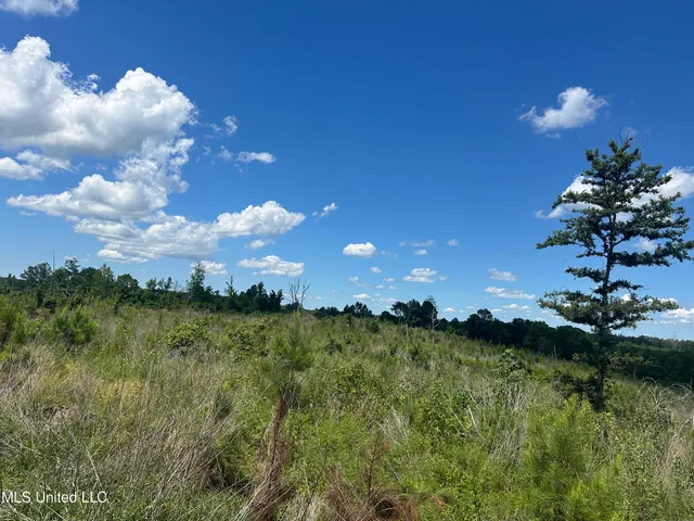 $1,015,250 | 75 Co Road, Cruger, MS 38924