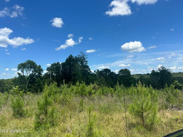 $1,015,250 | 75 Co Road, Cruger, MS 38924