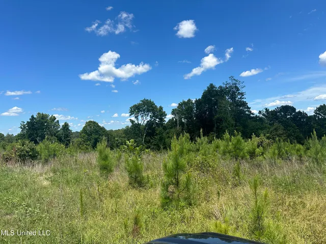 $1,015,250 | 75 Co Road, Cruger, MS 38924