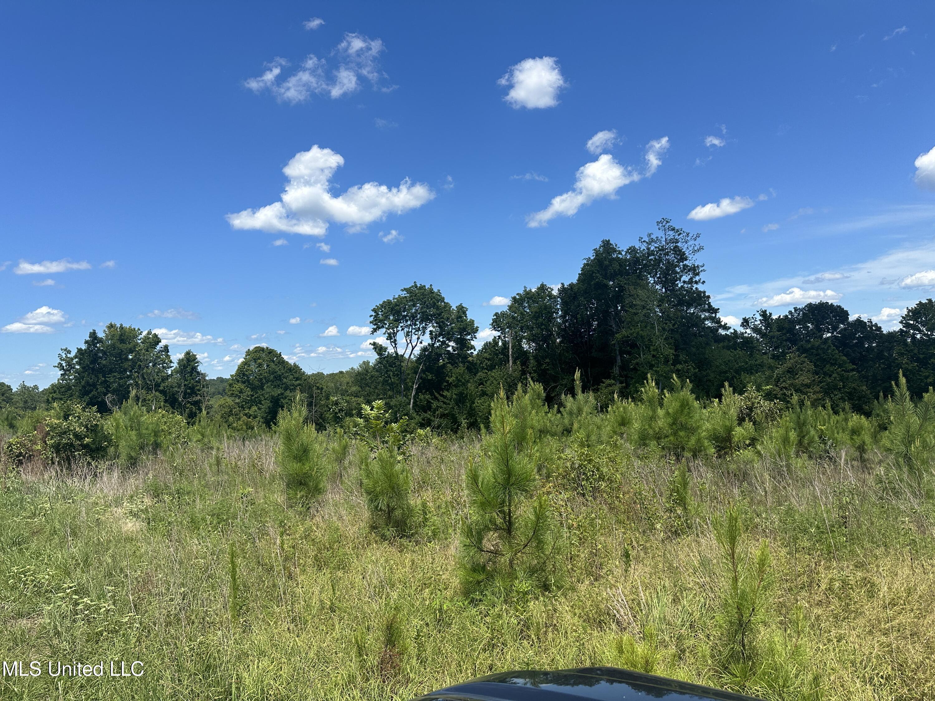 75 Co Road Cruger, MS 38924 - Photo 48 of 51 IMG_3989