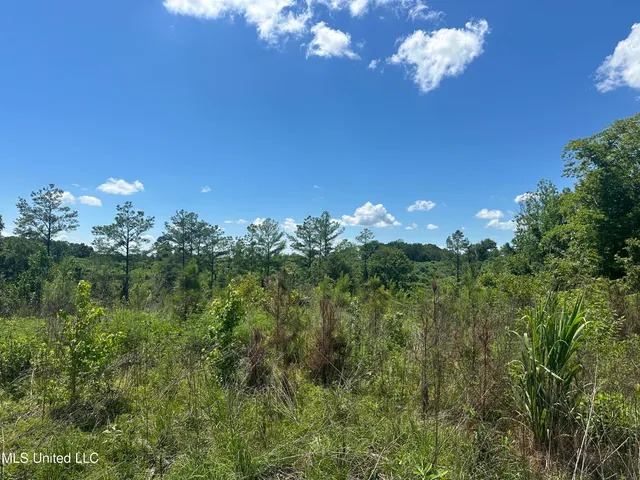 $1,015,250 | 75 Co Road, Cruger, MS 38924