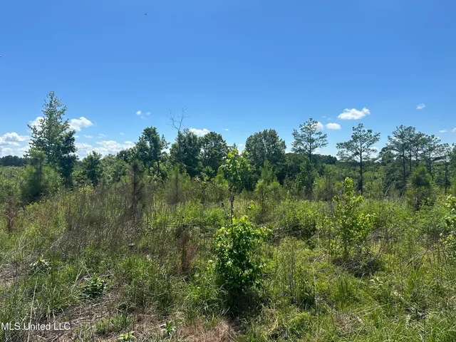 $1,015,250 | 75 Co Road, Cruger, MS 38924