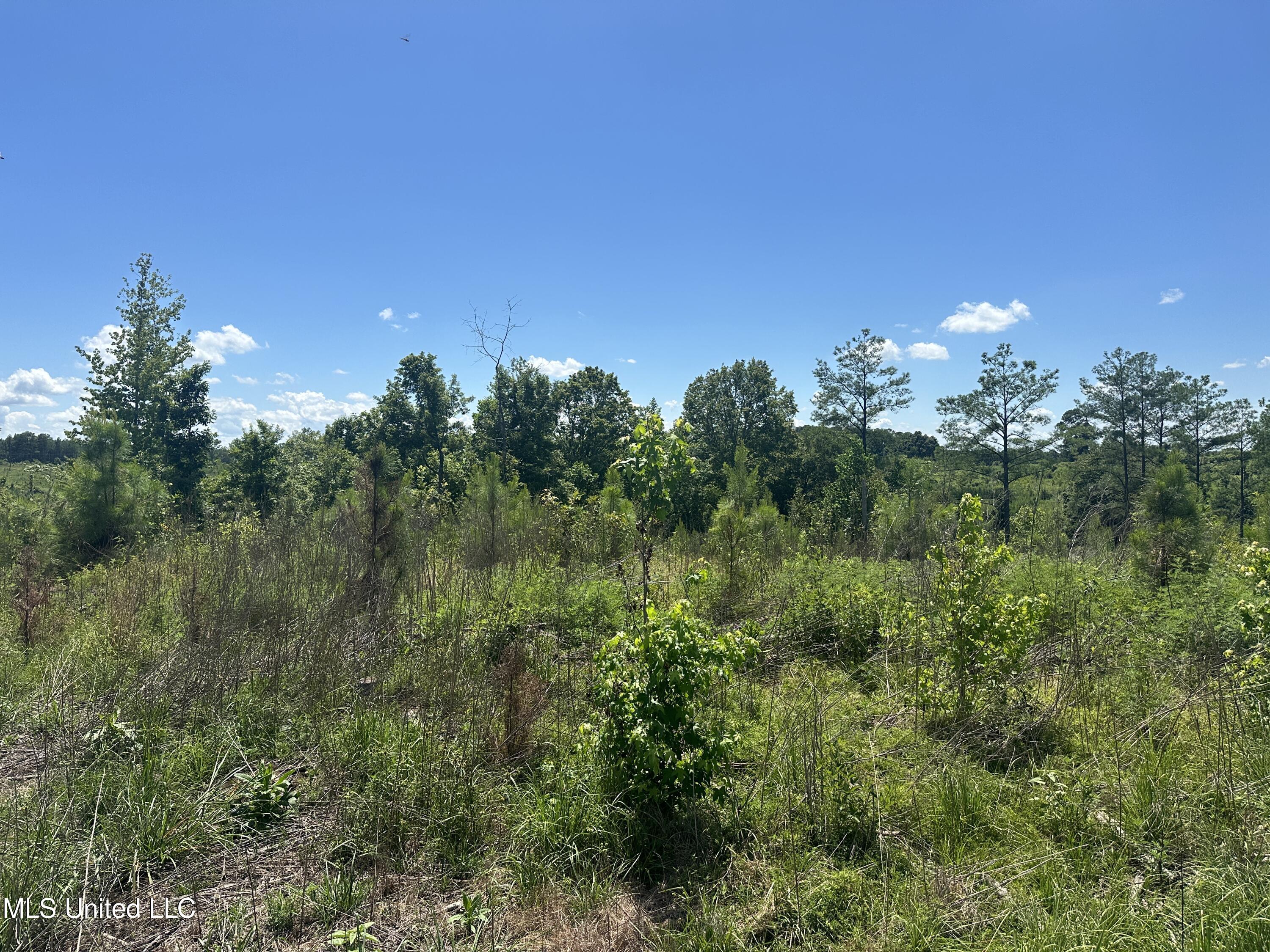 75 Co Road Cruger, MS 38924 - Photo 50 of 51 IMG_3991