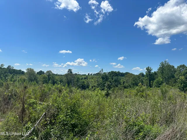 $1,015,250 | 75 Co Road, Cruger, MS 38924