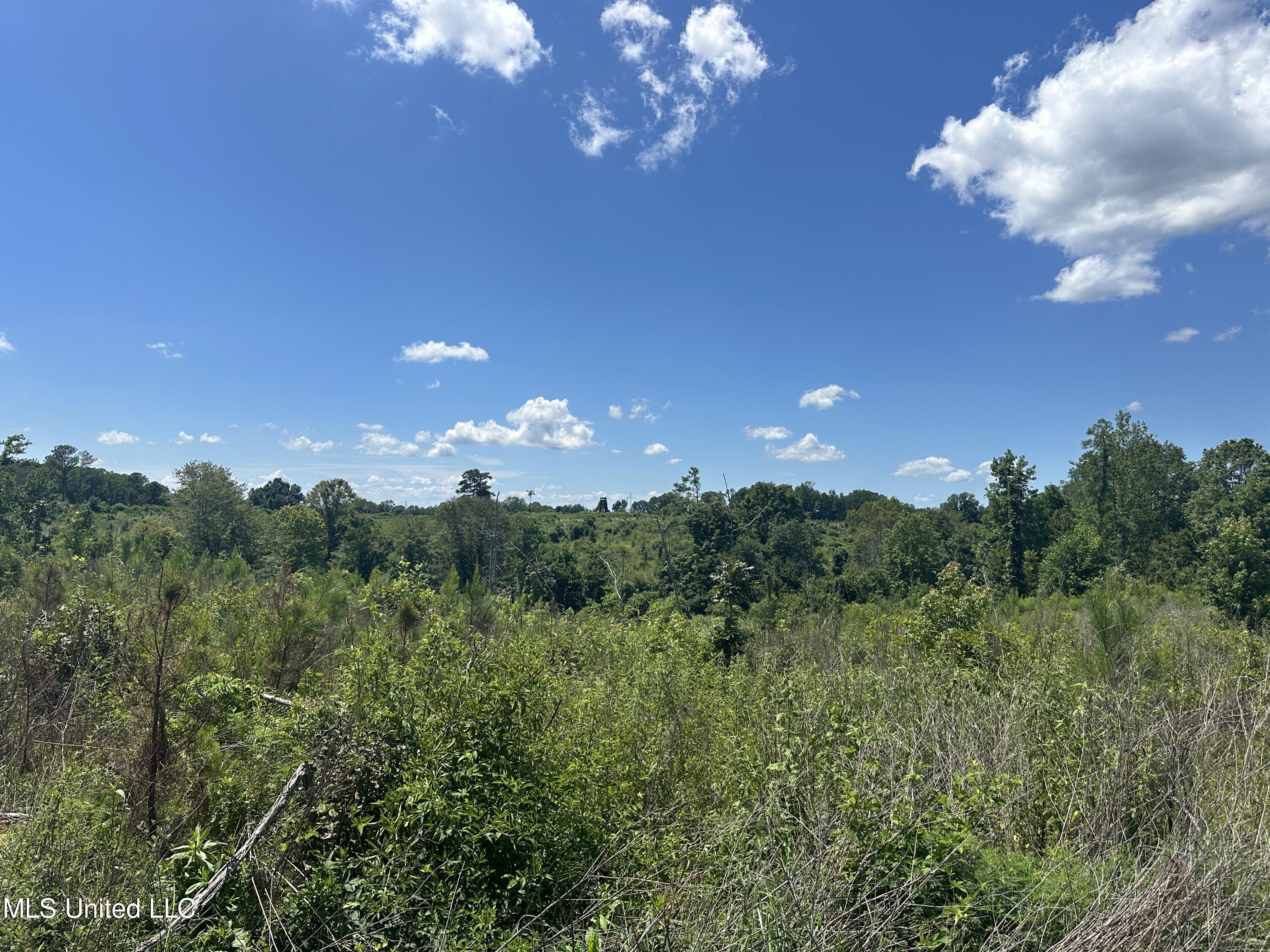 75 Co Road Cruger, MS 38924 - Photo 51 of 51 IMG_3992