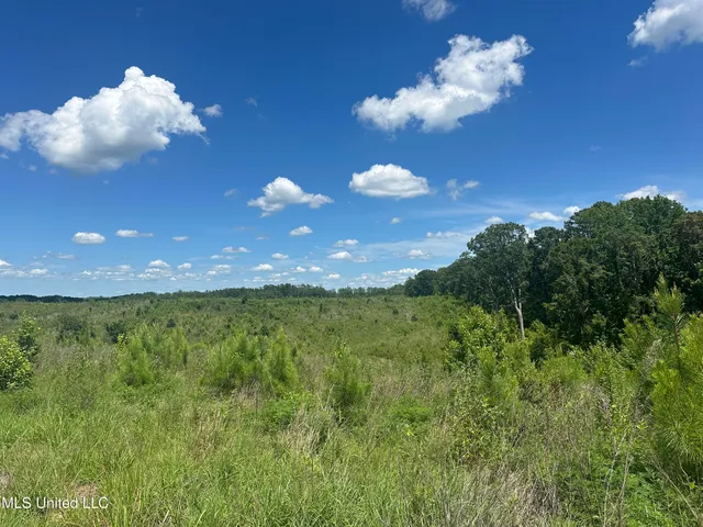 $1,015,250 | 75 Co Road, Cruger, MS 38924