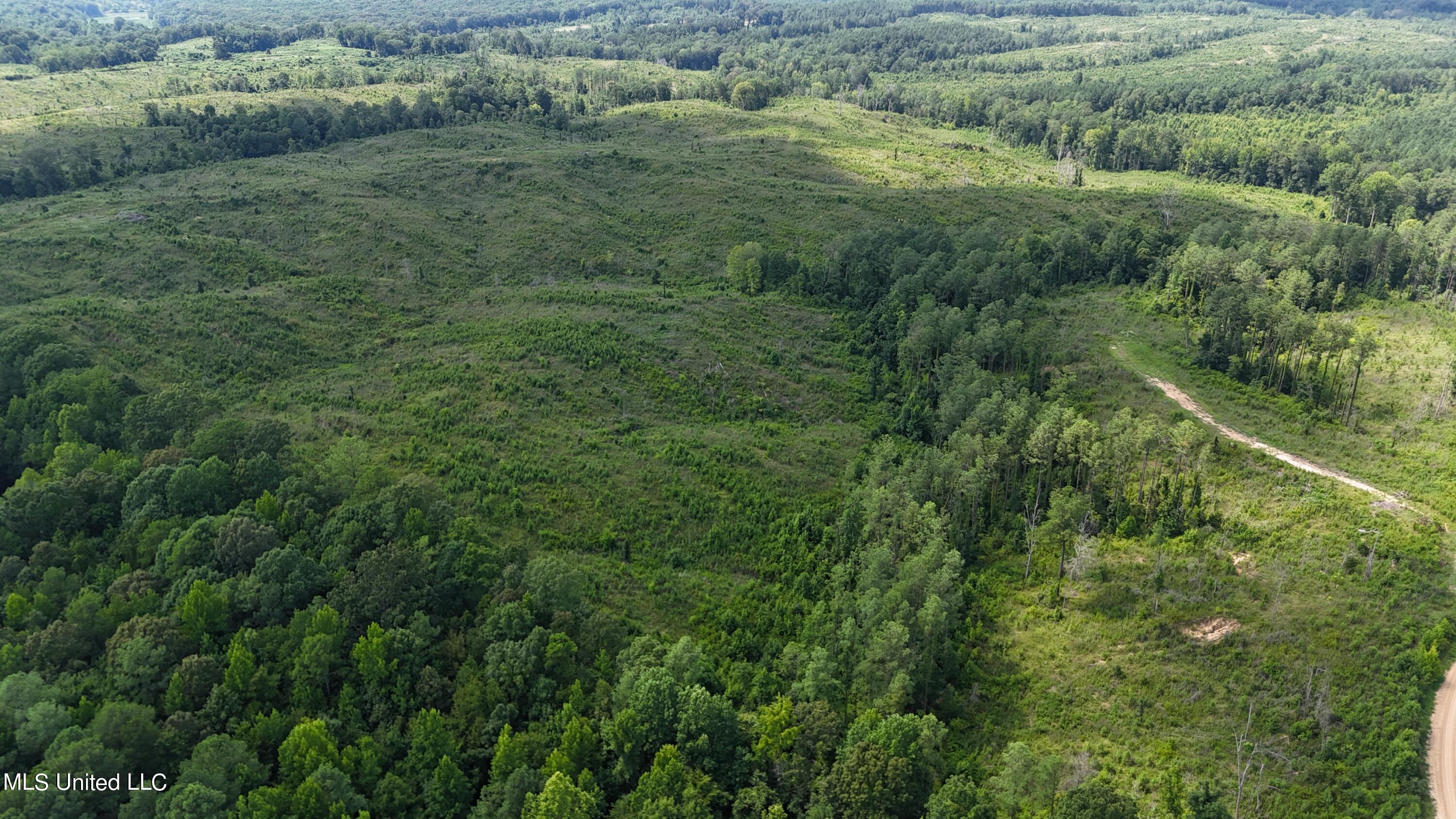 75 Co Road Cruger, MS 38924 - Photo 9 of 51 dji_fly_20240712_152444_0134_17208166237