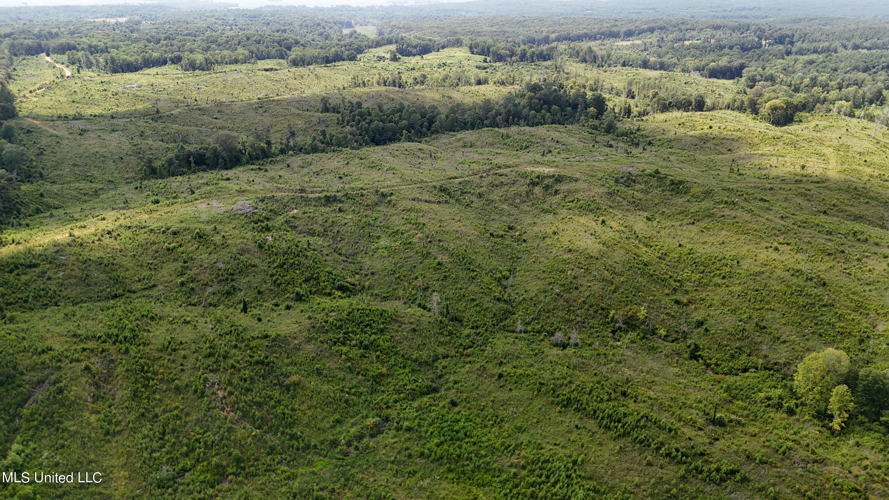 75 Co Road Cruger, MS 38924 - Photo 10 of 51 dji_fly_20240712_152506_0135_17208166253