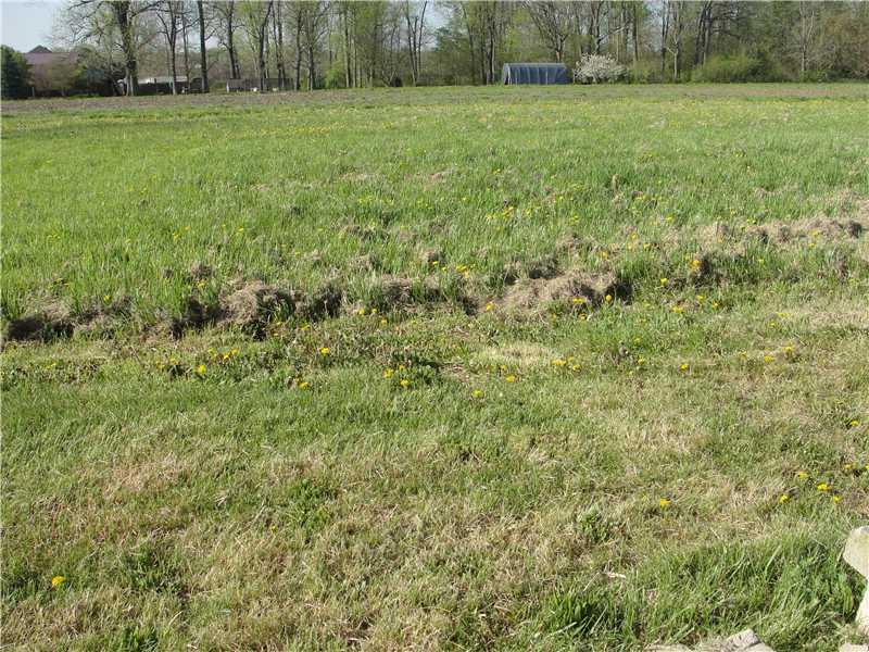13590 North Cox Road Camby, IN 46113 - Photo 24 of 24 Gallery Image 24