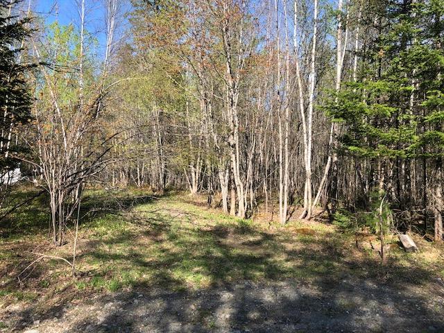 0 Mcdonald Road Parkman, ME 04443 - Photo 3 of 5 Casillas 9