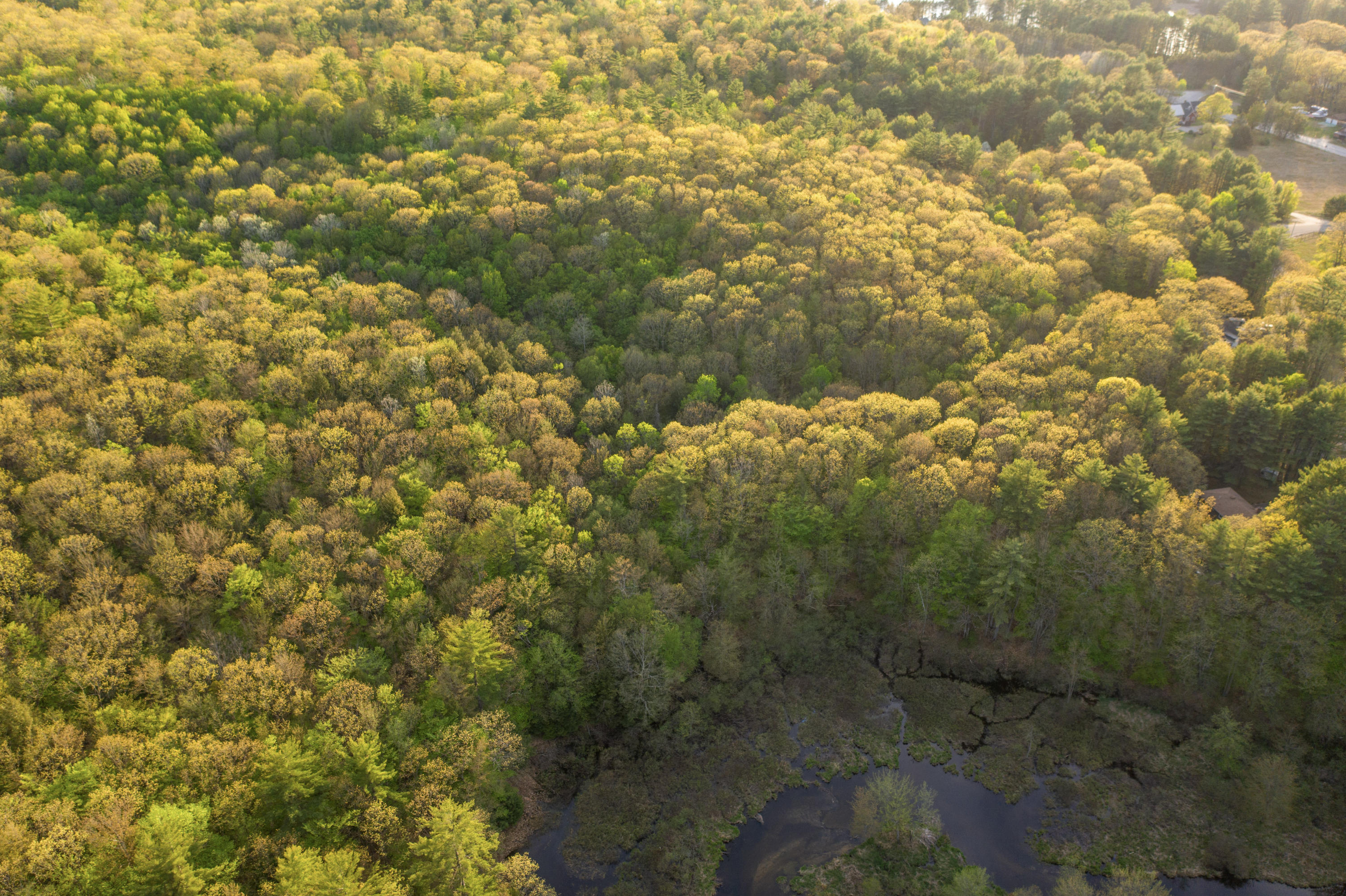 0 Lessard Drive Turner, ME 04282 - Photo 16 of 16 Aerial View 2