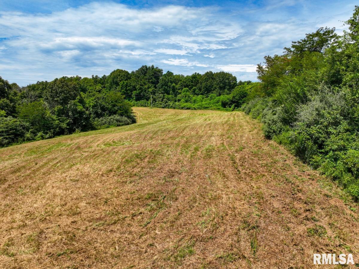 0 Robinson Hill Road Makanda, IL 62958 - Photo 24 of 29