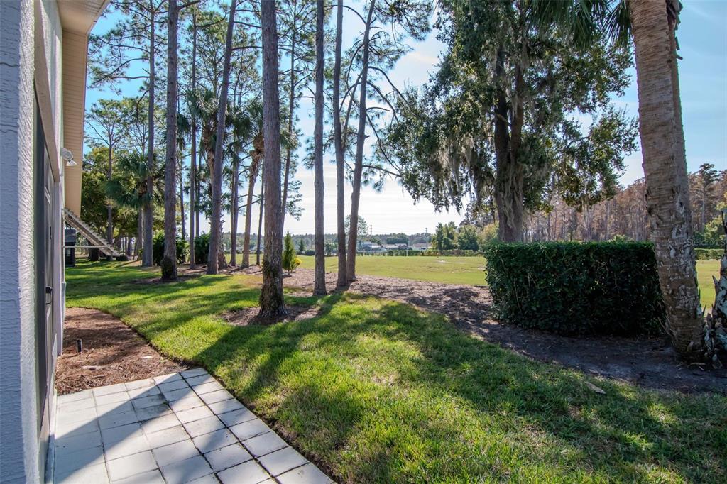 9500 Green Needle Drive New Port Richey, FL 34655 - Photo 17 of 28 a view of a park with large trees