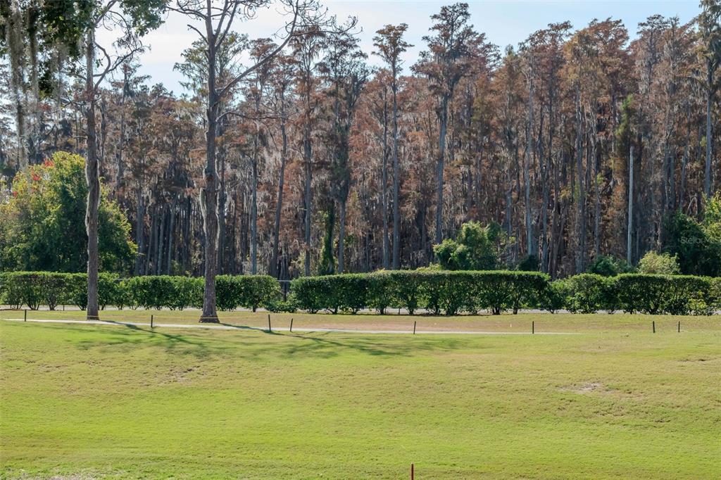 9500 Green Needle Drive New Port Richey, FL 34655 - Photo 19 of 28 a view of a with swimming pool and a yard