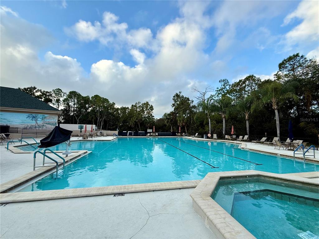 9500 Green Needle Drive New Port Richey, FL 34655 - Photo 24 of 28 a view of a swimming pool with a yard