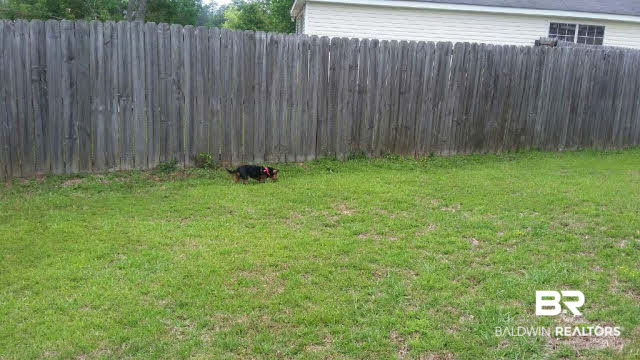 8877 Fall Court Mobile, AL 36695 - Photo 7 of 27 This is a pie shaped yard. The sides are extra wide. Large enough for big and little dogs. 6 foot privacy fence to keep them in.