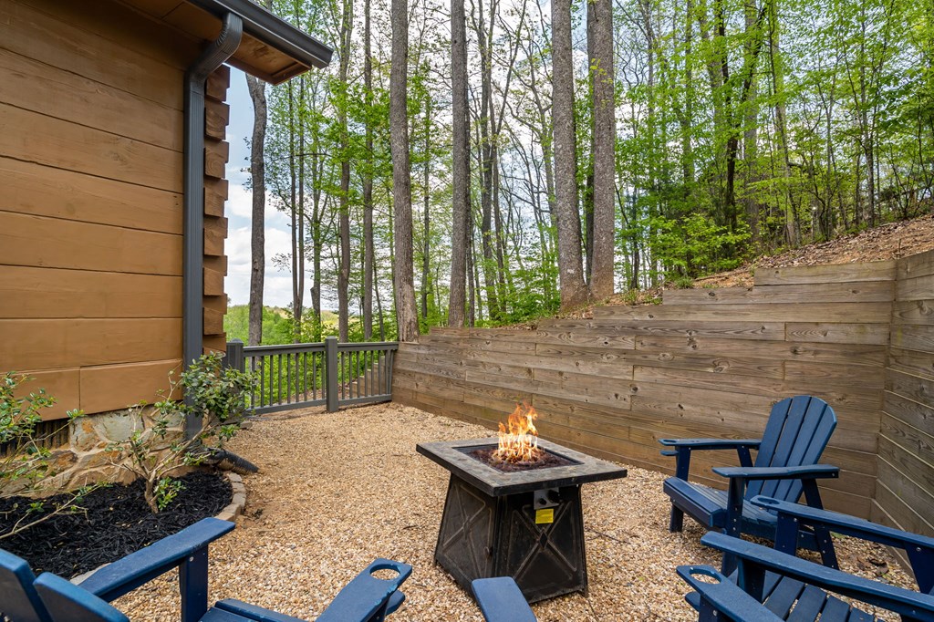 431 Little Bushy Head Road Blue Ridge, GA 30513 - Photo 6 of 46