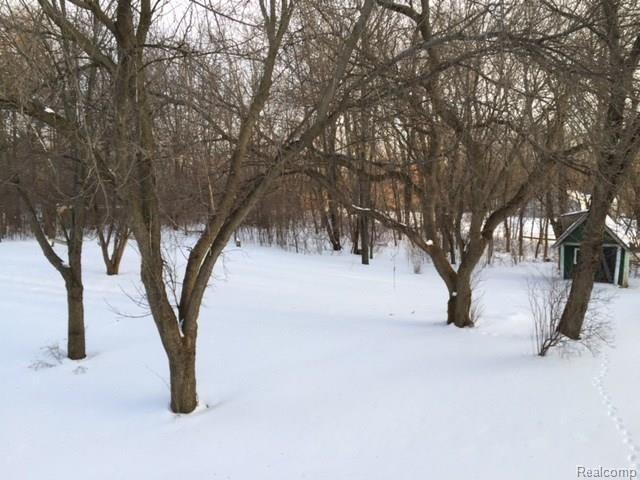 6084 Faussett Road Howell, MI 48855 - Photo 13 of 13 yard.jpg