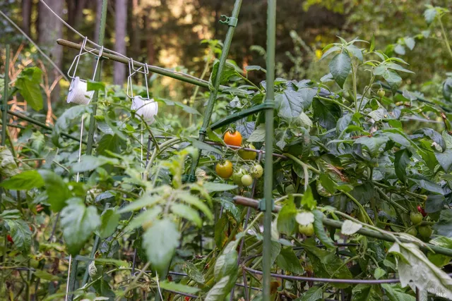 $955,000 | 1 Tamarack Road, Unit B, San Geronimo, CA 94963