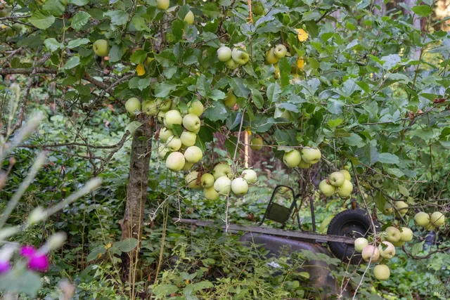 $955,000 | 1 Tamarack Road, Unit B, San Geronimo, CA 94963