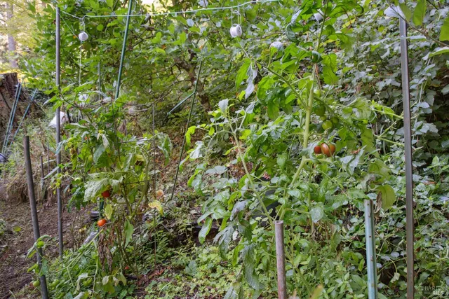 $955,000 | 1 Tamarack Road, Unit B, San Geronimo, CA 94963