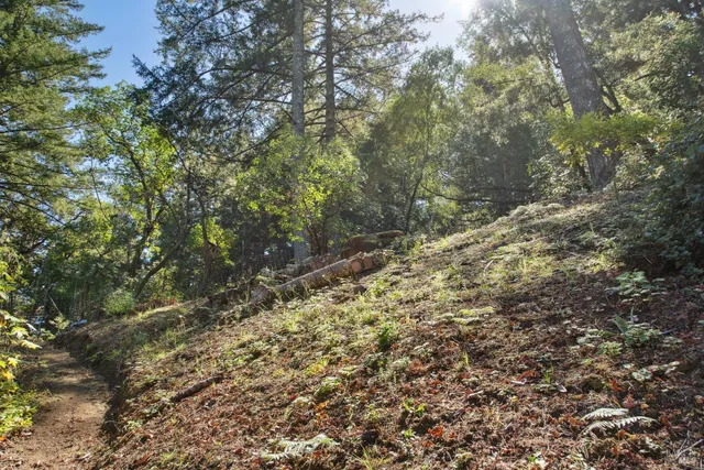 $955,000 | 1 Tamarack Road, Unit B, San Geronimo, CA 94963