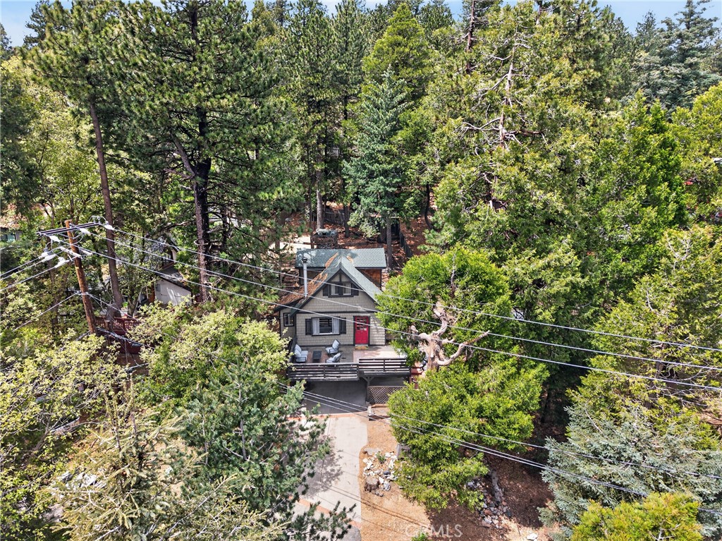 1190 Scenic Way Rimforest, CA 92378 - Photo 39 of 42 Gallery Image 39
