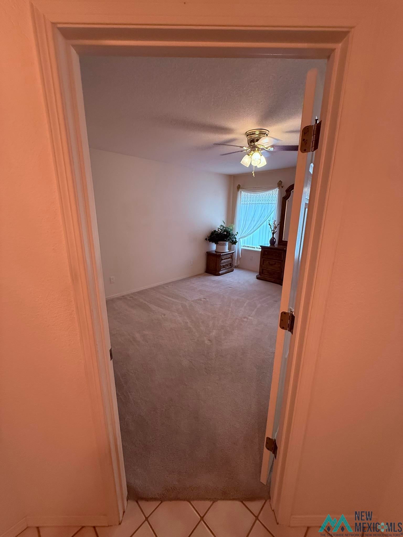 300 Rio Grande Circle Elephant Butte, NM 87935 - Photo 18 of 99 Spacious room featuring neutral carpeting, a ceiling fan with integrated lighting, and a window with sheer curtains providing natural light