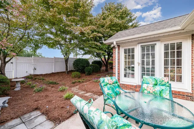 a view of a backyard with potted plants and large tree