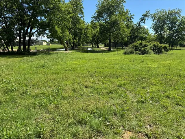 a view of a park with large trees