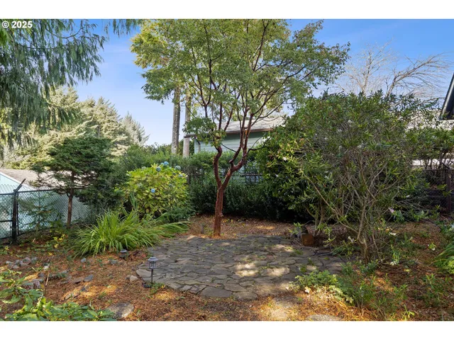 a view of a forest with trees in front of it