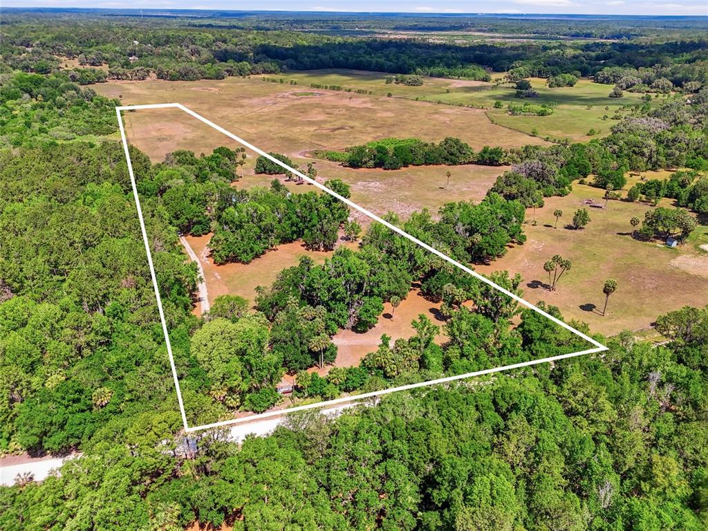 22130 Northwest 75th Avenue Road Micanopy, FL 32667 - Photo 50 of 52