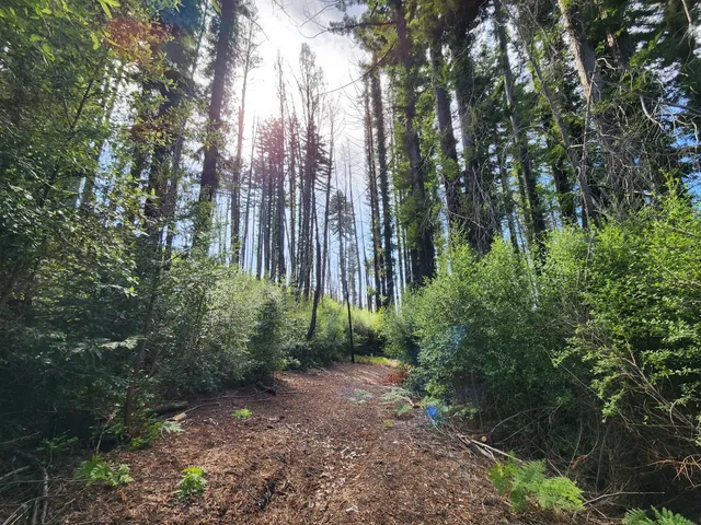 $299,000 | 20604 Little Basin Road, Boulder Creek, CA 95006