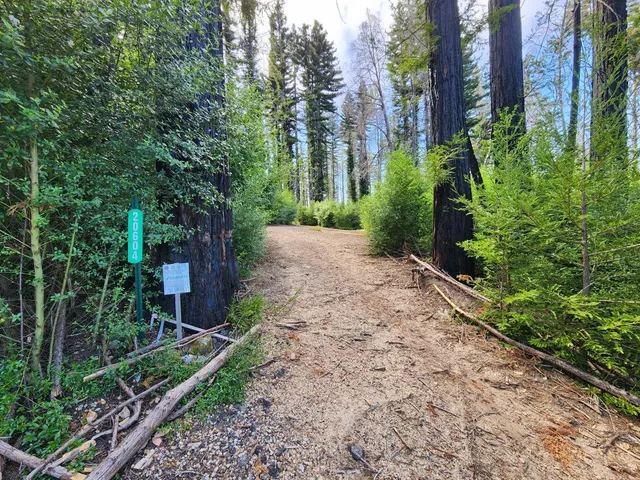 a view of street with parked cars