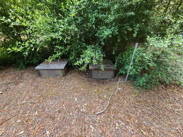 a view of a house with a yard and a tree