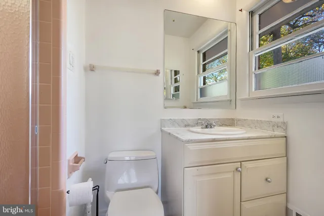 a bathroom with a toilet sink vanity and mirror