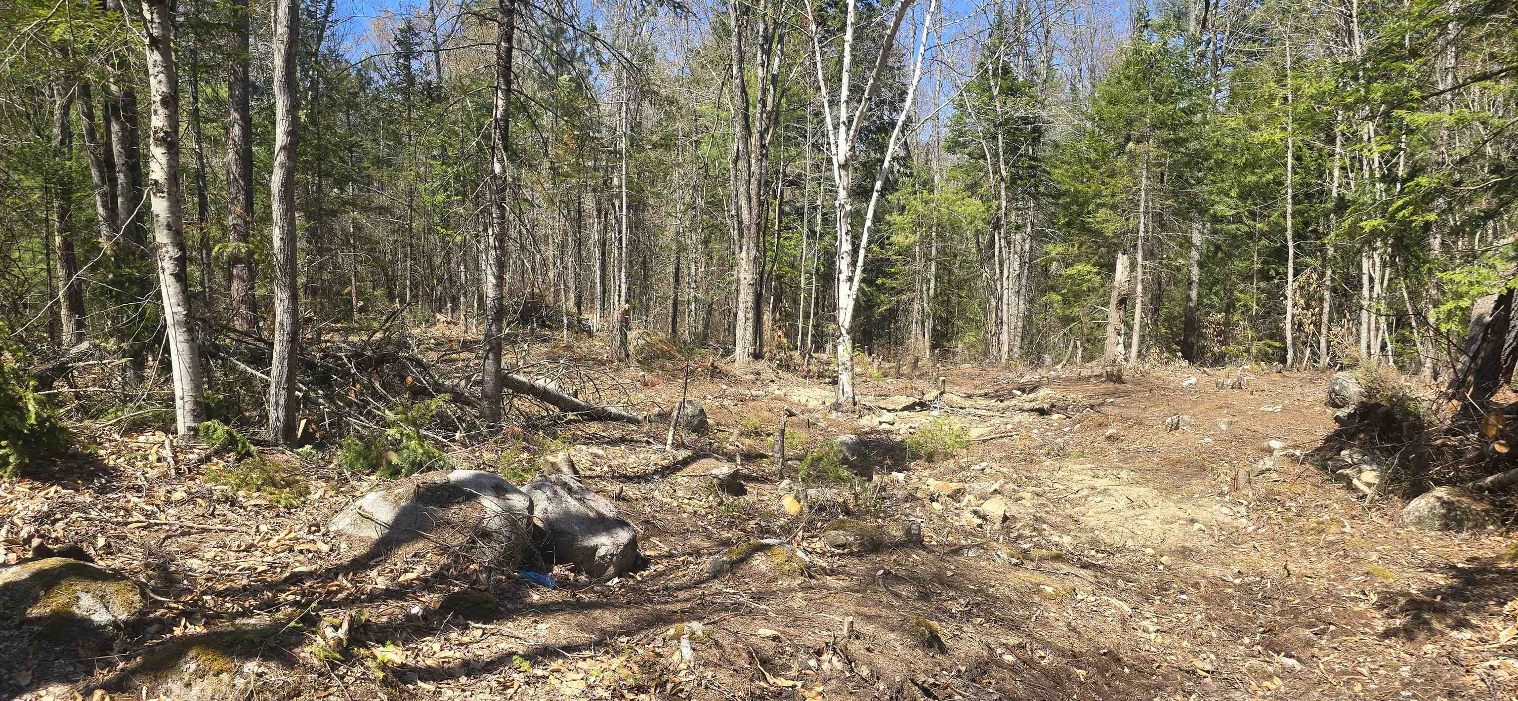 15 Adams Way Middleton, NH 03887 - Photo 8 of 10