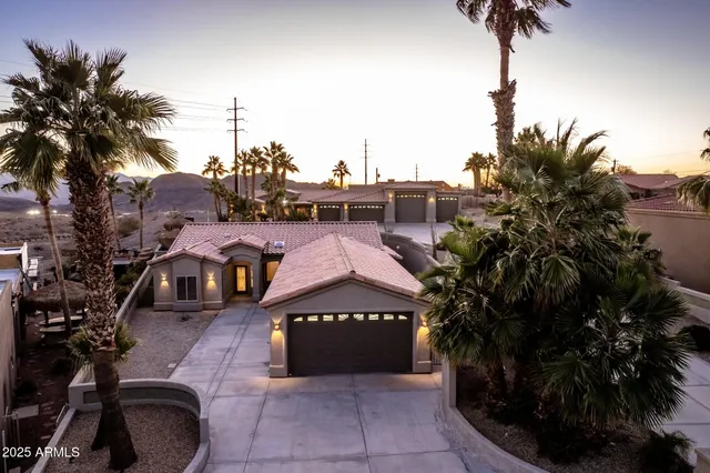 a view of a pathway with a palm tree