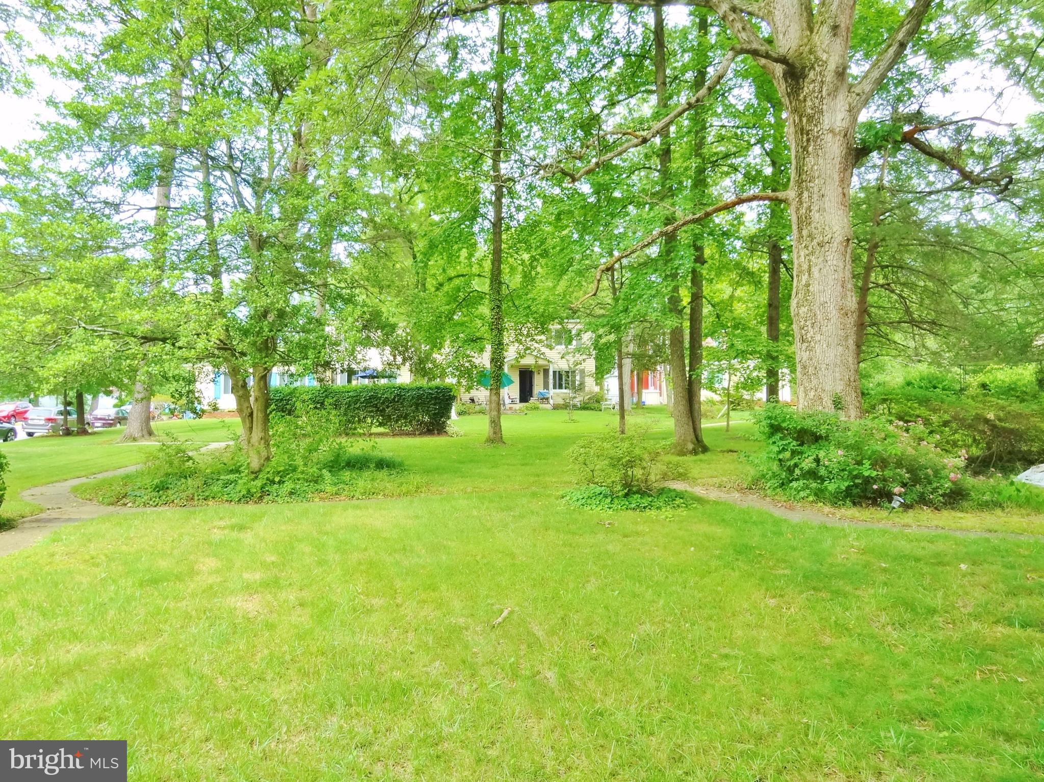 62 Crescent Road, Unit A Greenbelt, MD 20770 - Photo 15 of 17 Green Space for Your Peace of Mind
