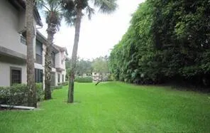 a view of a park with large trees