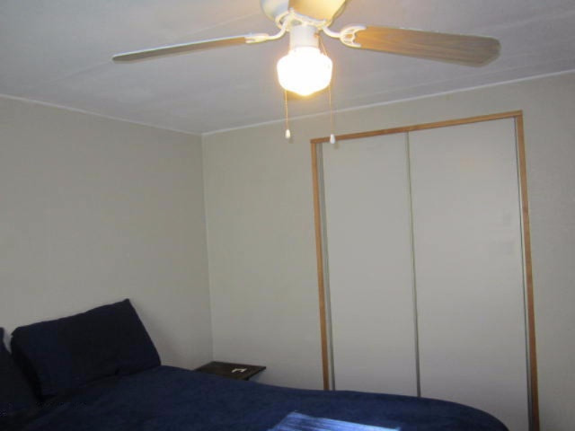 17435 Foster Road Wellston, MI 49689 - Photo 15 of 43 Master Bedroom