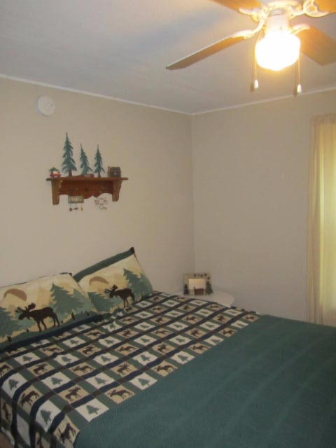 17435 Foster Road Wellston, MI 49689 - Photo 16 of 43 Bedroom 2