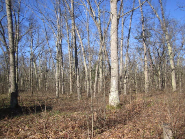 17435 Foster Road Wellston, MI 49689 - Photo 29 of 43 Federal Land