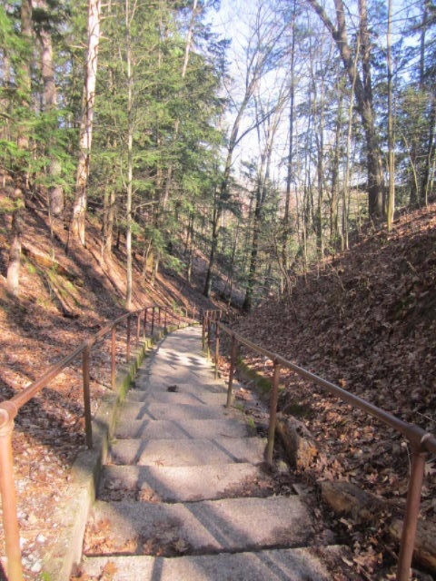 17435 Foster Road Wellston, MI 49689 - Photo 31 of 43 Fisherman's Path